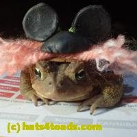 /home//u458753944/public_html/sourcegallery//////Roxborough Toad Detour/2013-2019/2018/2018-04-13/P4130011.JPG